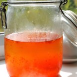 apple and chilli syrup