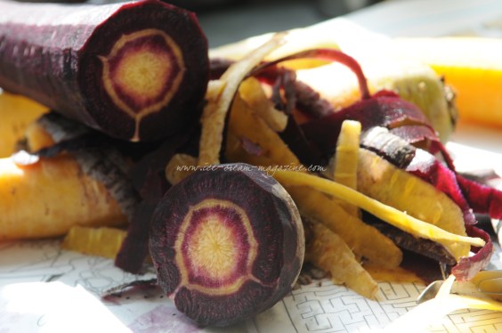 Purple/harlequin carrots ©www.ice-cream-magazine.com