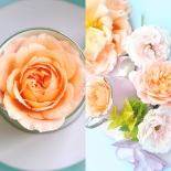 rose, lemon balm syrup www.ice-cream-magazine.com