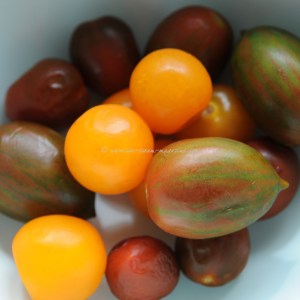 heritage organic tomato for salad 5