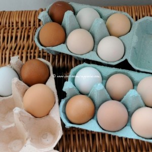 eggs various blue pk
