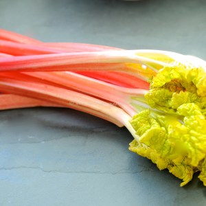 rhubarb icm1