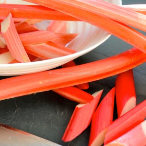 rhubarb icm2