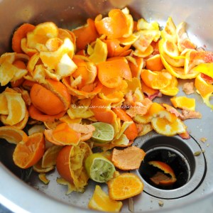 Citrus peel  © www.ice-cream-magazine.com