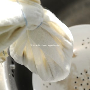 goats cheese 7 © www.ice-cream-magazine.com (copy)