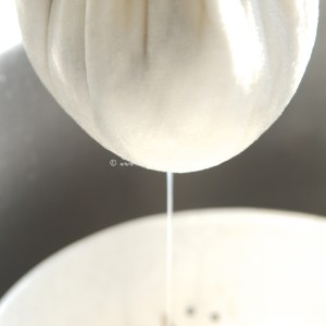 goats cheese 8 © www.ice-cream-magazine.com (copy)