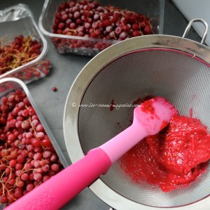 18 redcurrant © www.ice-cream-magazine.com.jpg