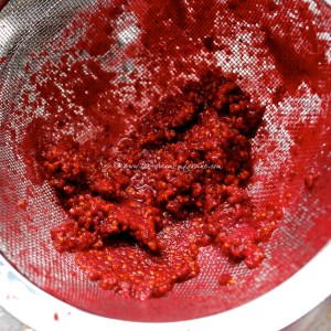 33 redcurrant © www.ice-cream-magazine.com.jpg