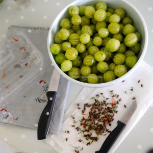 gooseberries (copy 2)