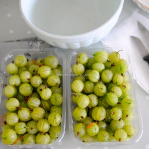 gooseberries (copy)