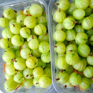 gooseberries