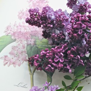 lilac © www.ice-cream-magazine.com (4).jpg.