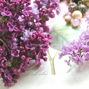 lilac © www.ice-cream-magazine.com (6)