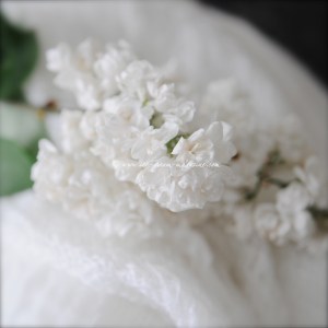 white lilac © www.ice-cream-magazine.com.