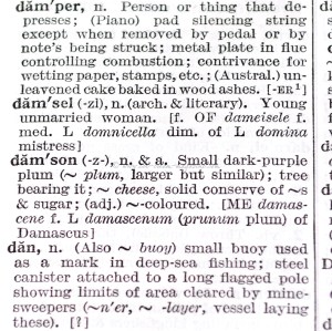 damson semifreddo   © www.ice-cream-magazine.com