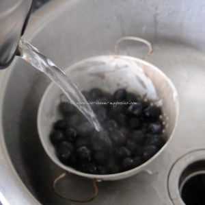 damsons semifreddo   © www.ice-cream-magazine.com