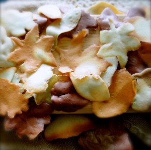 autumn leaf tuile © www.ice-cream-magazine.com