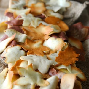 autumn leaf tuile © www.ice-cream-magazine.com