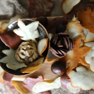 autumn leaf tuile © www.ice-cream-magazine.com