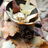 autumn leaf tuile © www.ice-cream-magazine.com