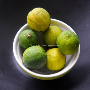blueberry, lime & vodka sorbet
