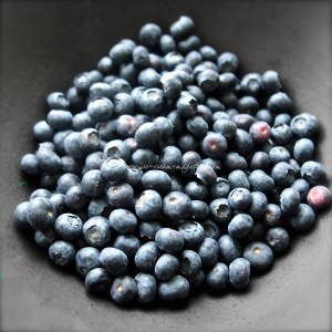 blueberry, lime & vodka sorbet