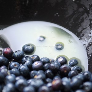 blueberry, lime  vodka sorbet © www.ice-cream-magazine.com