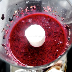 blueberry, lime & vodka sorbet