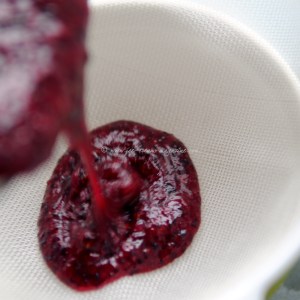 blueberry, lime & vodka sorbet