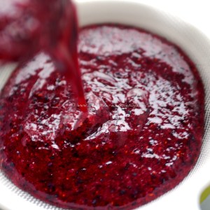 blueberry, lime & vodka sorbet