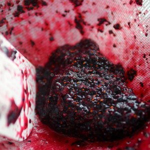 blueberry, lime & vodka sorbet