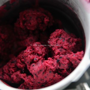 blueberry, lime vodka sorbet © www.ice-cream-magazine.com