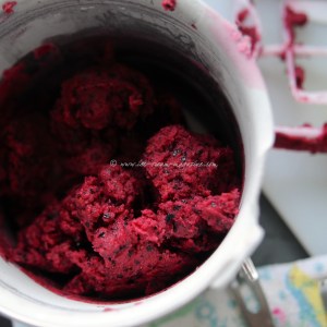 blueberry, lime  vodka sorbet © www.ice-cream-magazine.com