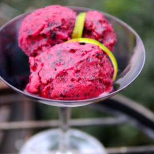 blueberry, lime vodka sorbet © www.ice-cream-magazine.com