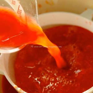 Blood orange coconut fro-yo © www.ice-cream-magazine.com