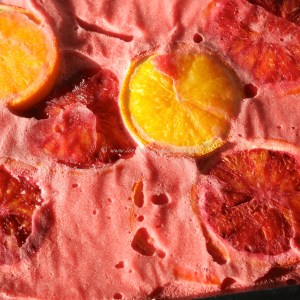 Blood orange coconut fro-yo © www.ice-cream-magazine.com