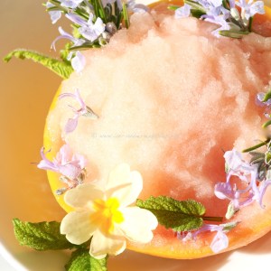 Gin and Grapefruit sorbet. Givre and take © www.ice-cream-magazine.com