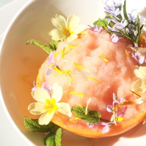Gin and Grapefruit sorbet. Givre and take © www.ice-cream-magazine.com