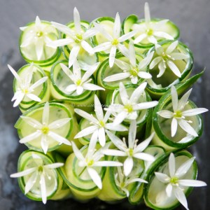 wild garlic tzatziki © www.ice-cream-magazine.com