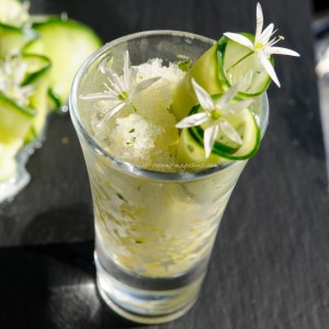 wild garlic tzatziki © www.ice-cream-magazine.com