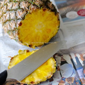 pina colada ice cream © www.ice-cream-magazine.com