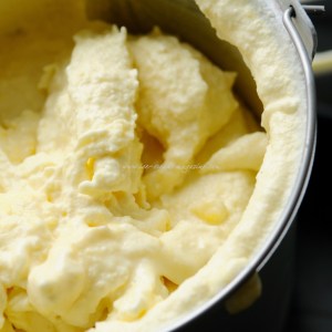 pina colada ice cream © www.ice-cream-magazine.com