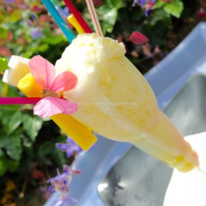 pina colada ice cream © www.ice-cream-magazine.com