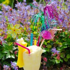 pina colada ice cream © www.ice-cream-magazine.com