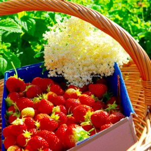 strawberry daquiri sorbet © www.ice-cream-magazine.com