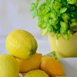Sgroppino al Limone © www.ice-cream-magazine.com