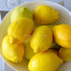 Sgroppino al Limone © www.ice-cream-magazine.com