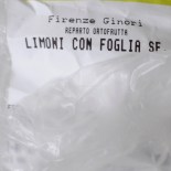 Sgroppino al Limone © www.ice-cream-magazine.com