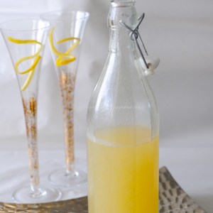 Sgroppino al Limone © www.ice-cream-magazine.com