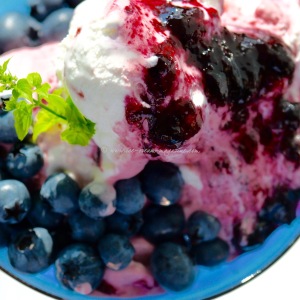 Blueberry thrill ice cream meringues © www.ice-cream-magazine.com